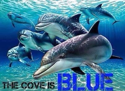 The Cove is BLUE
